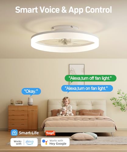 Best Smart Ceiling Fan For Home
