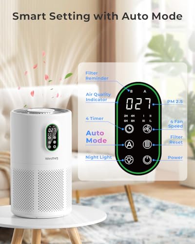 Best Air Purifier For Wildfire Smoke Under $100