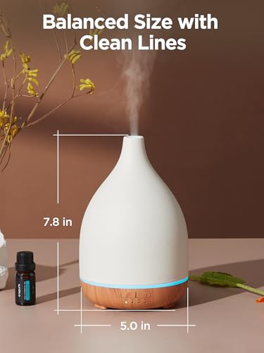 Best Oil Diffuser For Schizophrenia