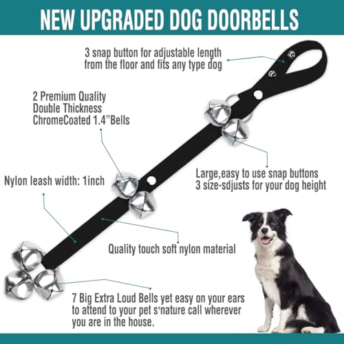 Best Doorbell For Dogs
