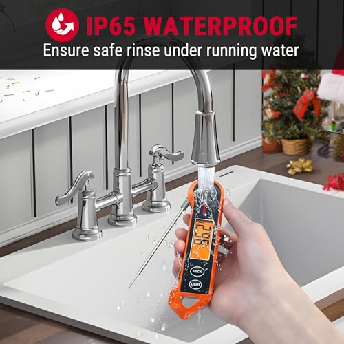 ThermoPro TP19H Digital Meat Thermometer Review