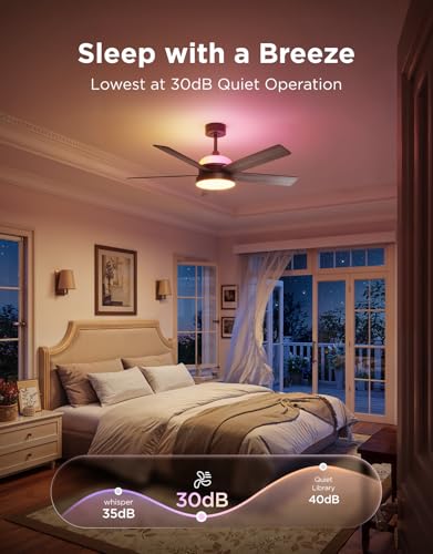 Best Smart Ceiling Fan For Home